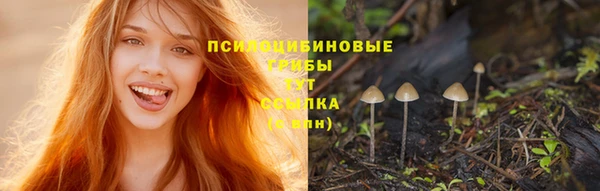 шишки Сатка