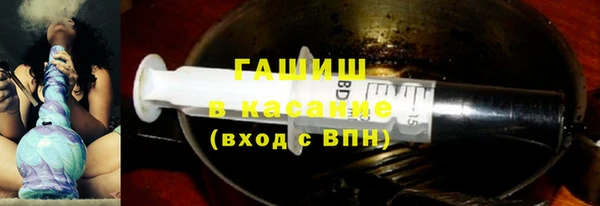 шишки Сатка
