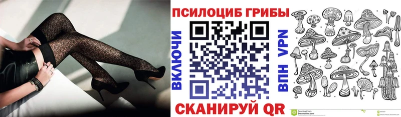 Галлюциногенные грибы Cubensis  Выборг 